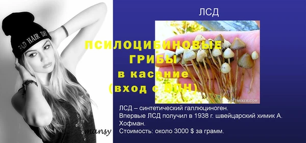 PSILOCYBIN Гусь-Хрустальный