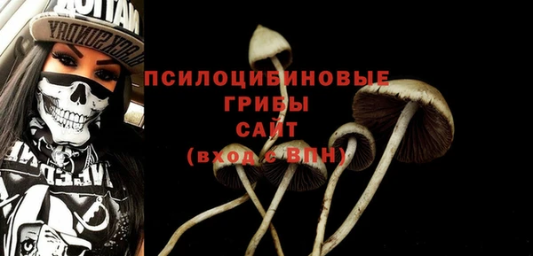MESCALINE Гусев