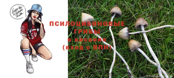 кристаллы Гусиноозёрск